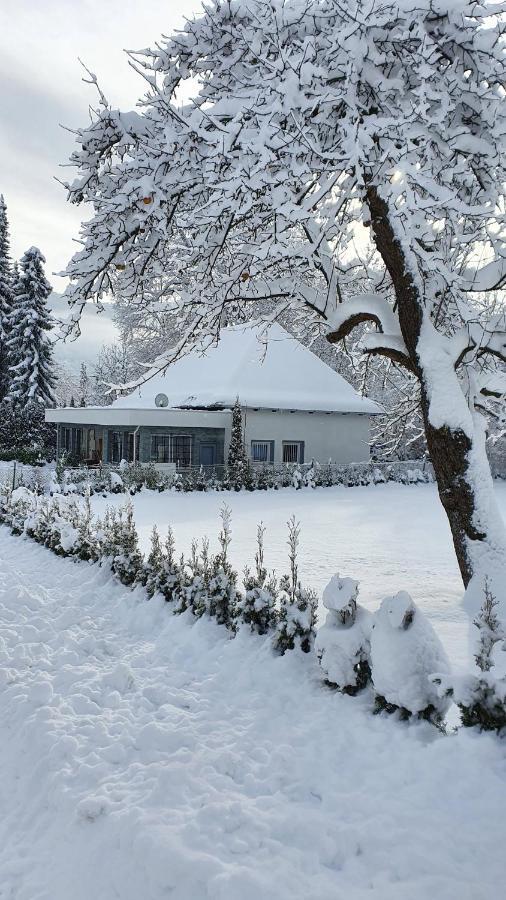 Bambu Lodge @ Ossiachersee Боденсдорф Экстерьер фото